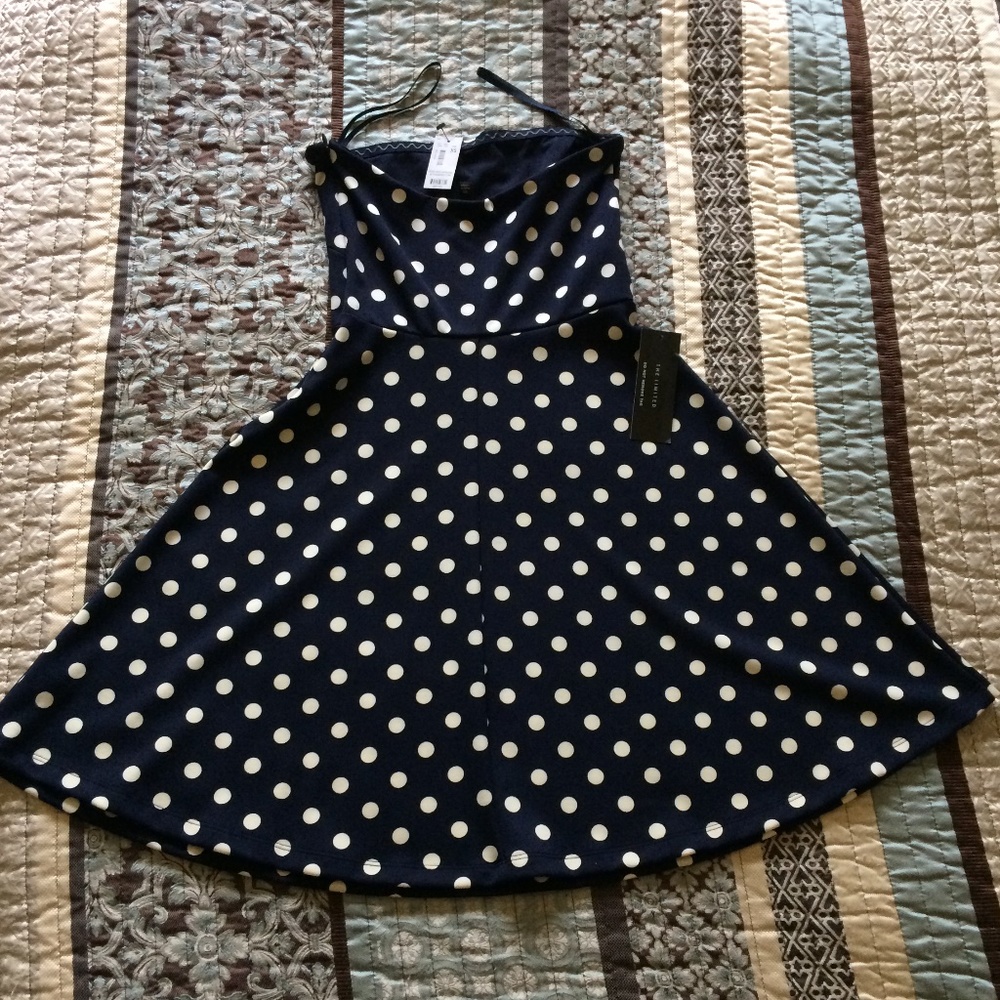 The Limited Dress
